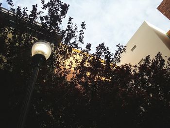 Low angle view of illuminated street light against sky