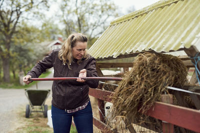 Female farmer putting hay in stable with pitchfork