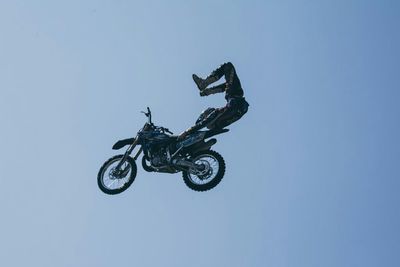 Low angle view of tree