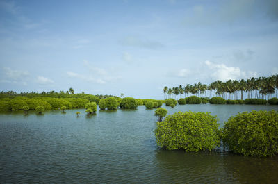 Scenic view of lake against sky