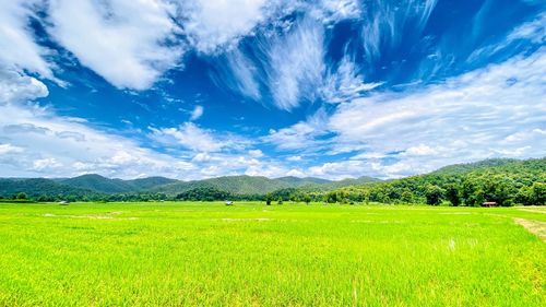 Scenic view of landscape against sky