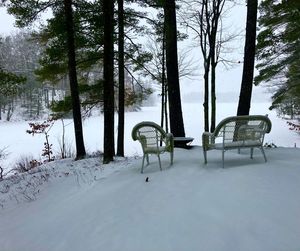 Empty bench on snow covered field by trees