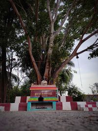 Information sign on tree against temple