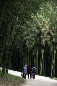 Rear view of people walking at forest