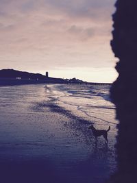 Scenic view of beach against sky during sunset