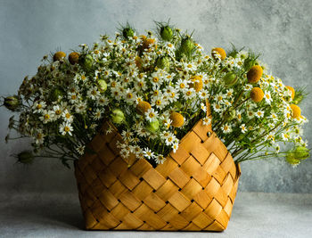 Close-up of yellow flowering plant in basket against wall
