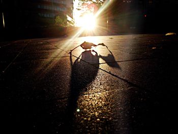 Sun shining through trees