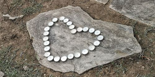 High angle view of shells on sand