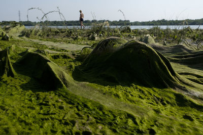 Cosmic landscape of mud, resulting after the low tide of the water level 