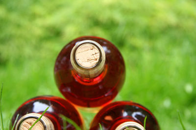 Close-up view of red wine bottles