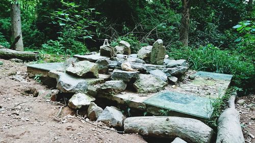 Stones on stone in forest