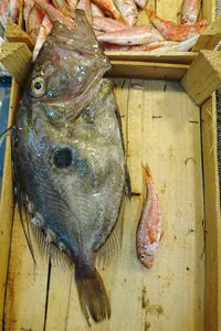 High angle view of fish for sale in market