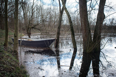 Bare trees by lake in forest during winter