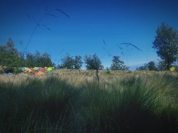 Scenic view of field against blue sky