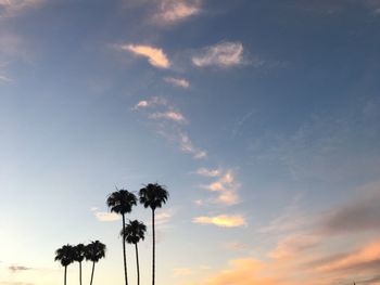 Low angle view of silhouette palm trees against sky