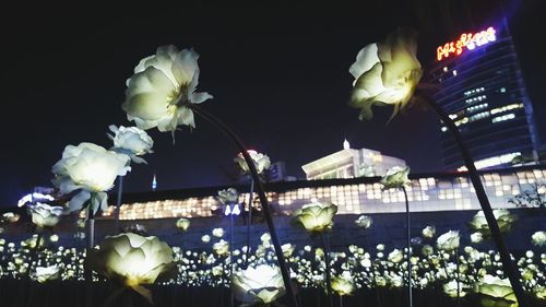 Illuminated lamp post at night