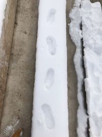 Close-up of snow covered wood