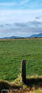 Scenic view of agricultural field against sky