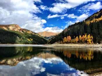 Reflection of trees in calm lake