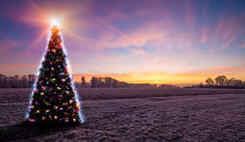 Illuminated christmas tree on field against sky during sunset