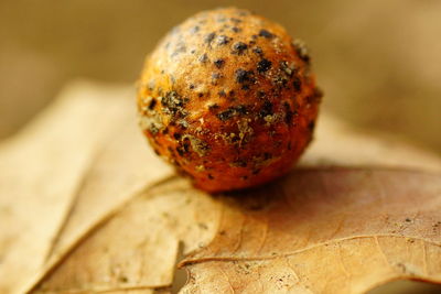 Close-up of fruit on table