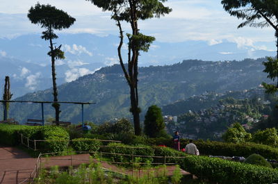 Panoramic shot of trees on landscape against sky