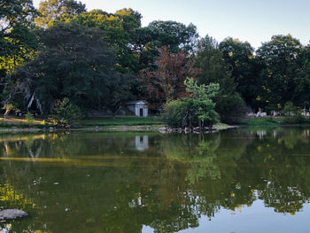 Reflection of trees in lake