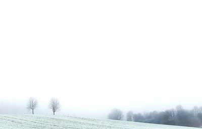 Trees on field against clear sky during winter