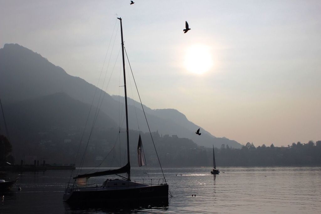 flying, bird, transportation, mode of transport, sunset, water, mountain, nautical vessel, sun, animal themes, sky, wildlife, scenics, sea, beauty in nature, boat, mid-air, animals in the wild, silhouette, nature