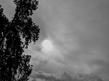 Low angle view of silhouette tree against sky