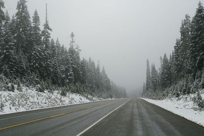 Road amidst trees during winter