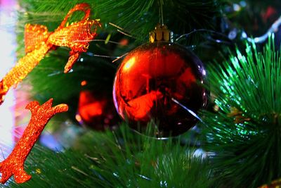 Close-up of christmas decoration hanging on tree