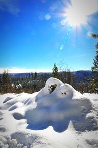 Snow covered trees against blue sky