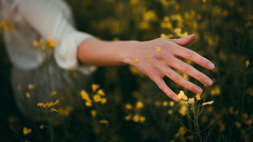 Midsection of woman hand on flowering plant during rainy season