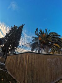 Low angle view of palm trees against blue sky