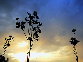 Low angle view of trees against cloudy sky