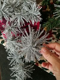 Close-up of hand holding christmas tree