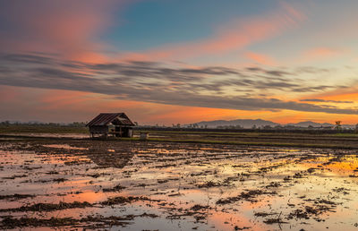 Scenic view of agricultural field against sky during sunset