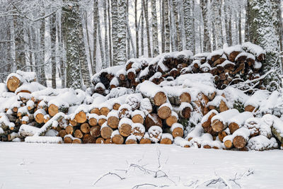 Firewood logs prepared for removal from the forest, foggy and grainy snow fall background, winter