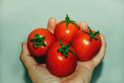 Close-up of hand holding tomatoes against white background