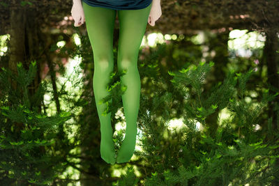 Low section of woman standing on tree