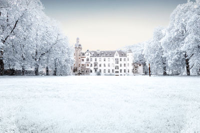 Snow covered trees against clear sky