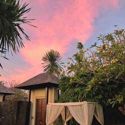 Palm tree against sky at sunset