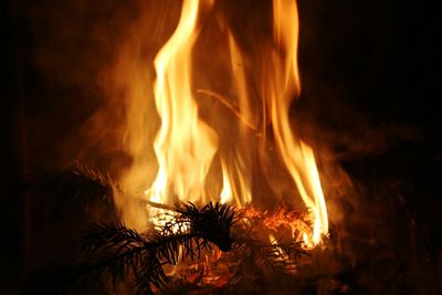 Close-up of bonfire at night