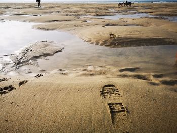 High angle view of footprints on sand at beach