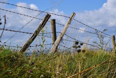 Low angle view of barbed wire on field against sky