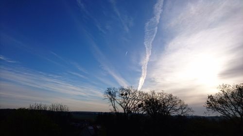 Low angle view of trees against sky