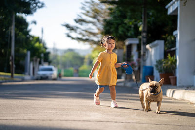 Full length of a dog walking on landscape