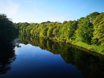 Scenic view of lake by trees against sky