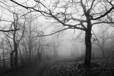 Road passing through bare trees